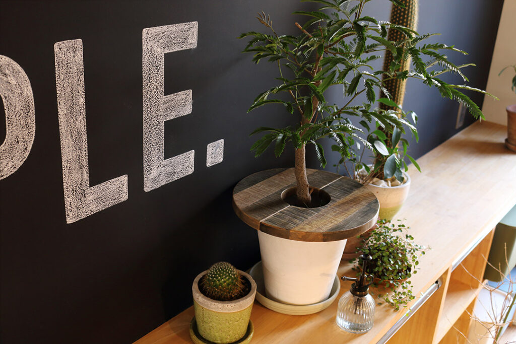 チーク材の魅力と用途|特徴やメリット・デメリットを解説